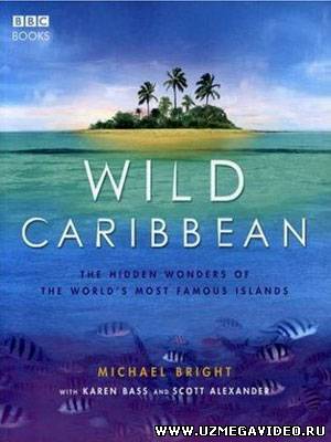 Wild Caribbean Karib Dengiz Xavzasi (O'zbek tilida)